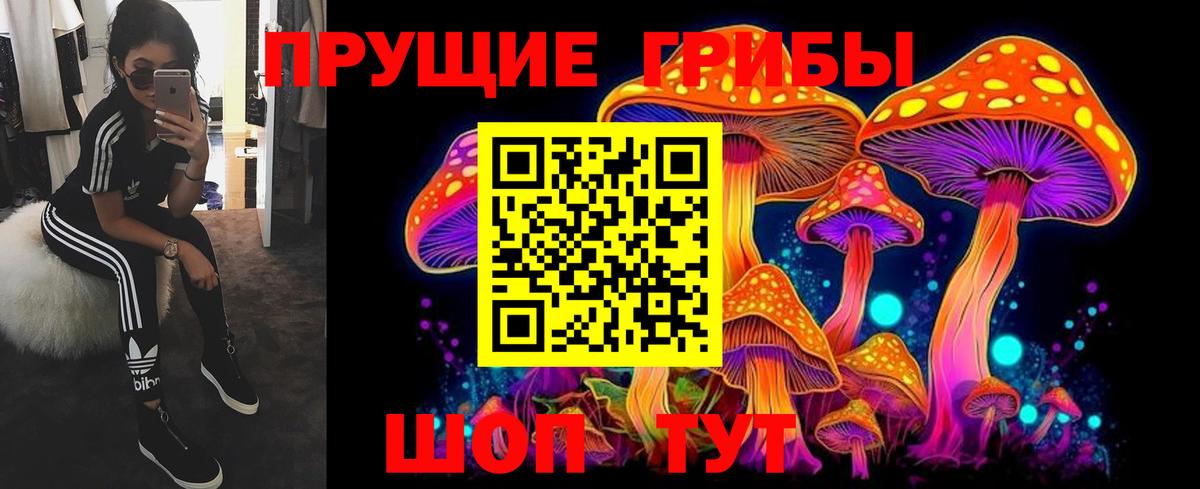 Псилоцибиновые грибы Psilocybine cubensis Симферополь